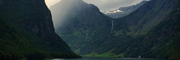 steveselzer Profile Banner