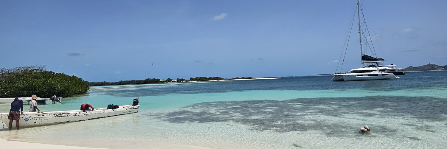 estefluciani's profile banner image