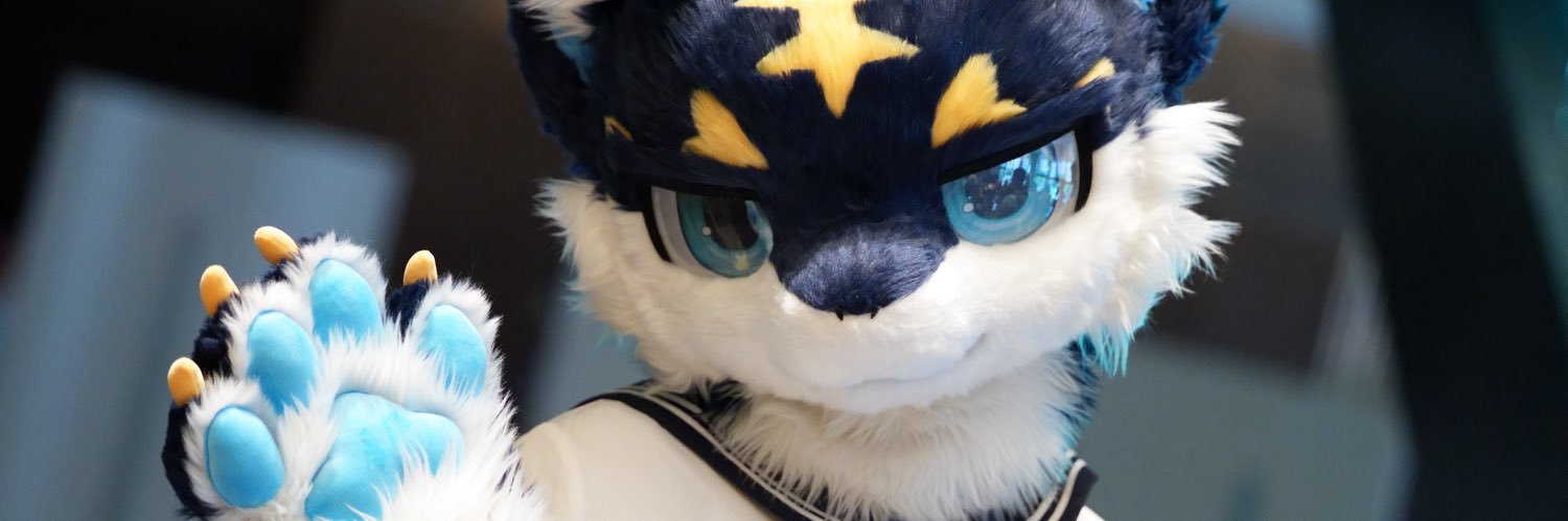 asterdragon_'s profile banner image