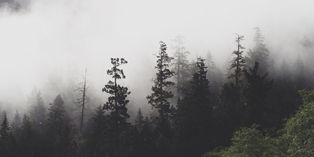 coryspierce's profile banner image