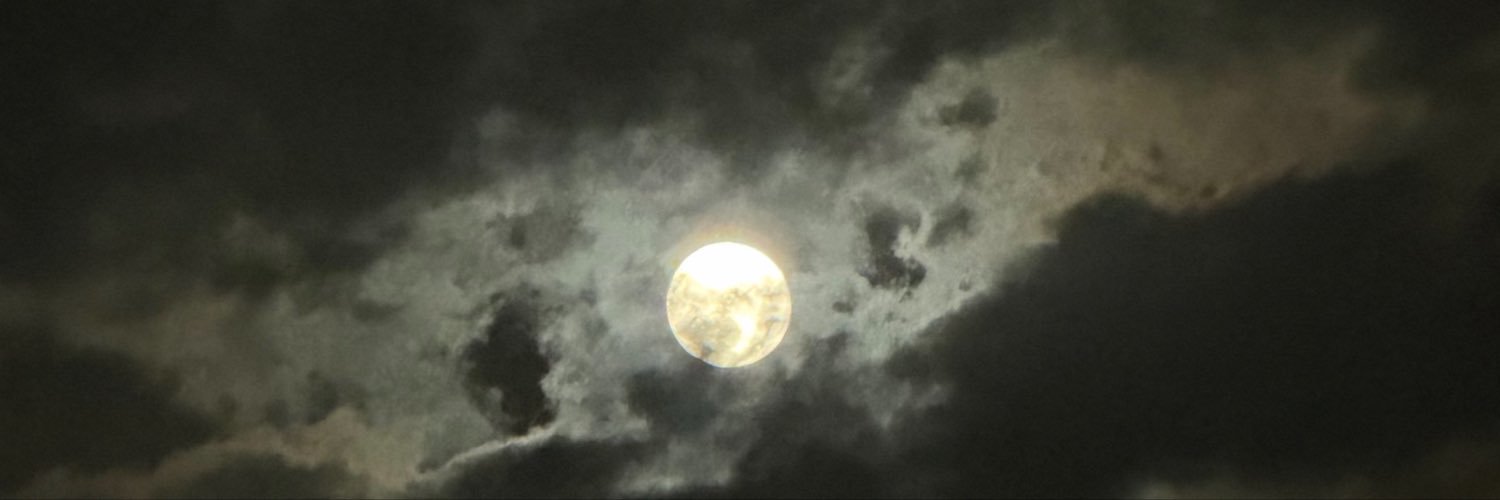 iloili_i's profile banner image
