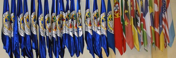 BacalhauCcs's profile banner image