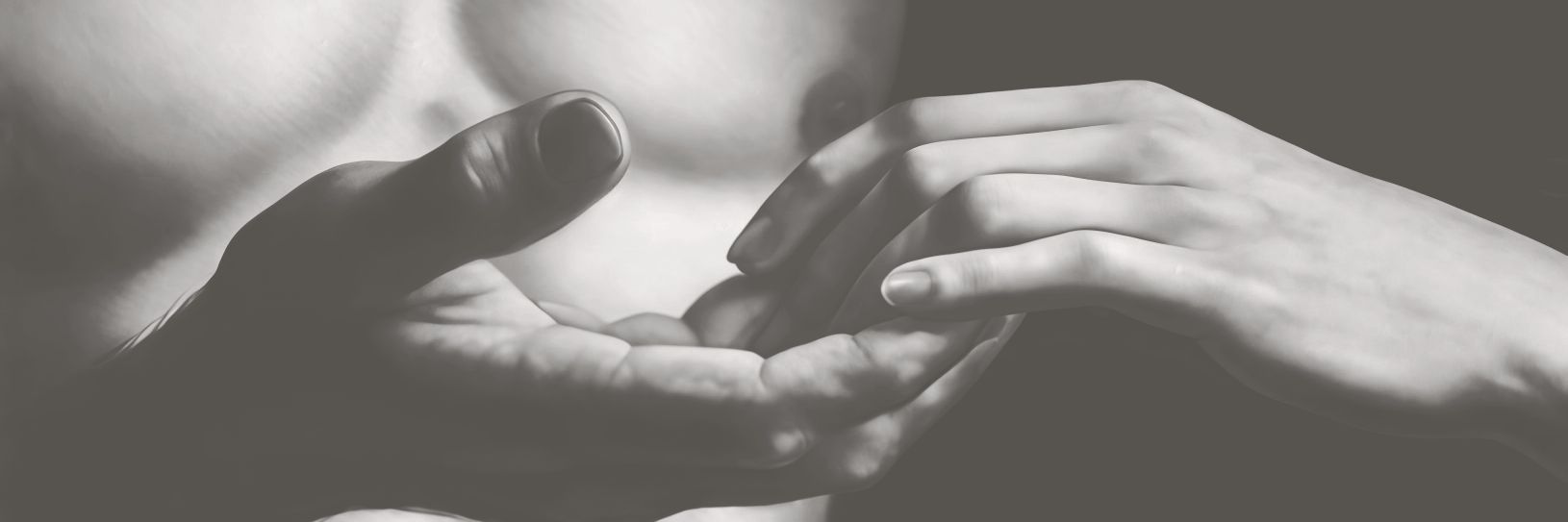 somnelys's profile banner image