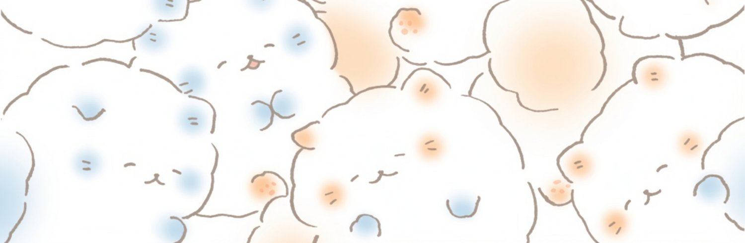 pktveil's profile banner image