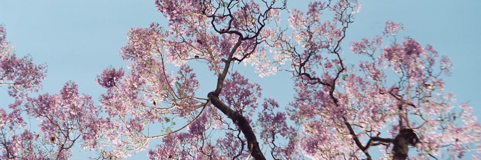 MarybethBexj's profile banner image