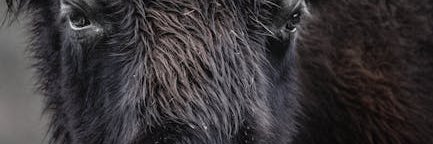 HoracioGilt6's profile banner image