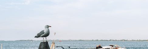 BoEisenmann's profile banner image