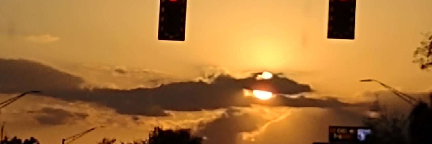 bugs0000's profile banner image