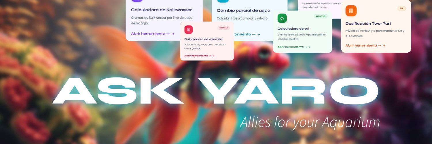 YaroReef's profile banner image