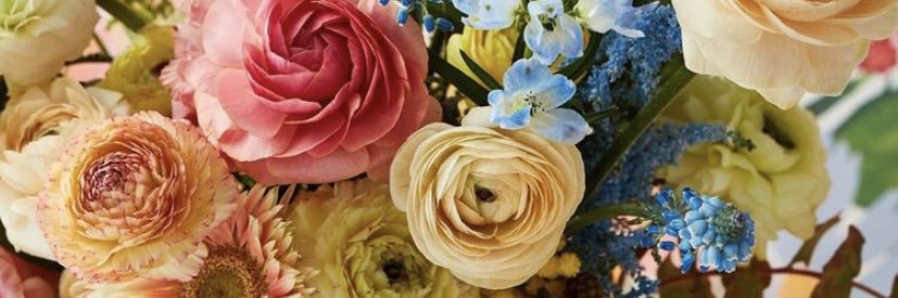 giraffed's profile banner image