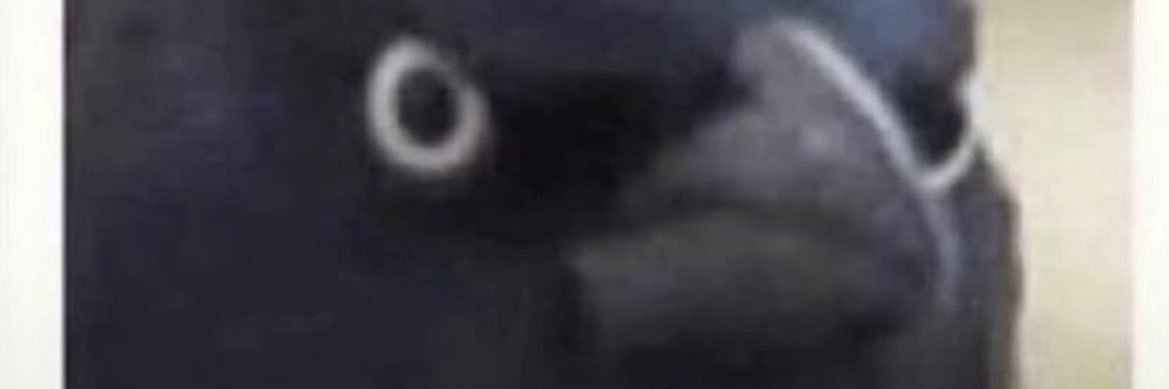 Jbocksaku's profile banner image