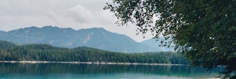MaurineHuhn's profile banner image