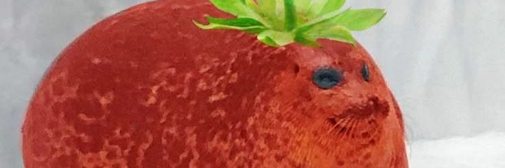 howlingseal's profile banner image