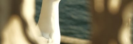 IluminadaOow's profile banner image