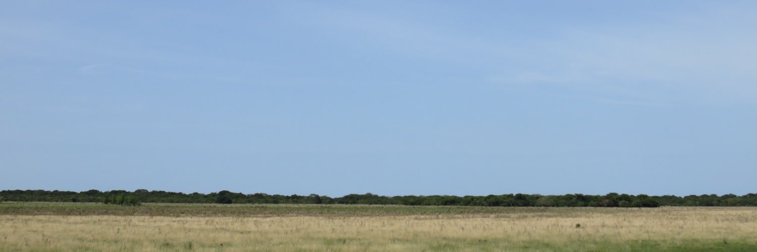 MatthewHofnr's profile banner image