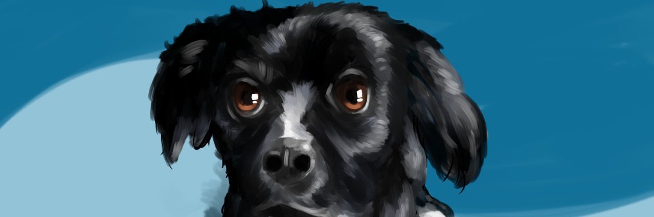 JTredex's profile banner image