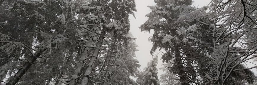 ElwandaClayman's profile banner image