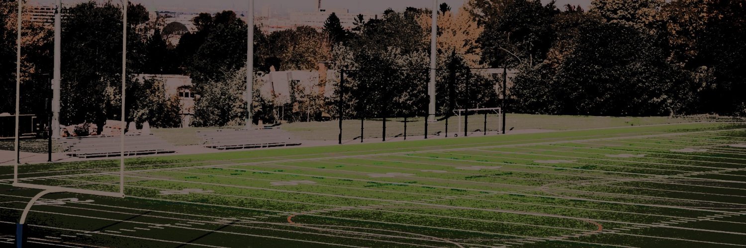 FinalTimber's profile banner image