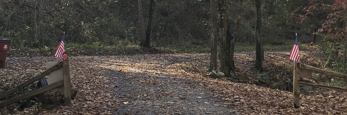 mousers's profile banner image
