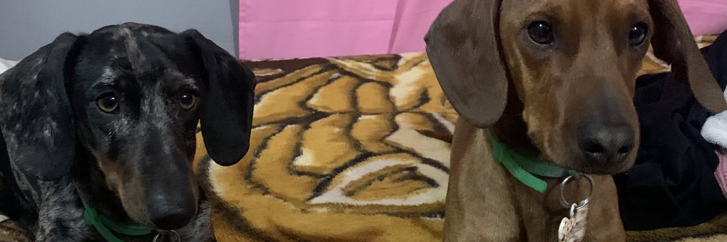 Lucialc_'s profile banner image