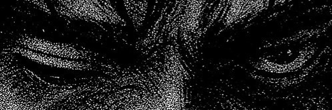 vboghvly's profile banner image
