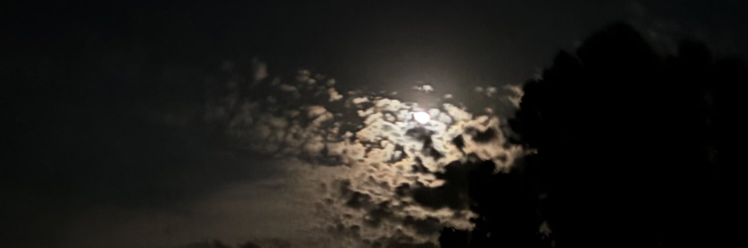 xVAMPERAx's profile banner image