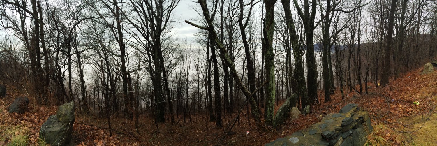 MitchConley20's profile banner image
