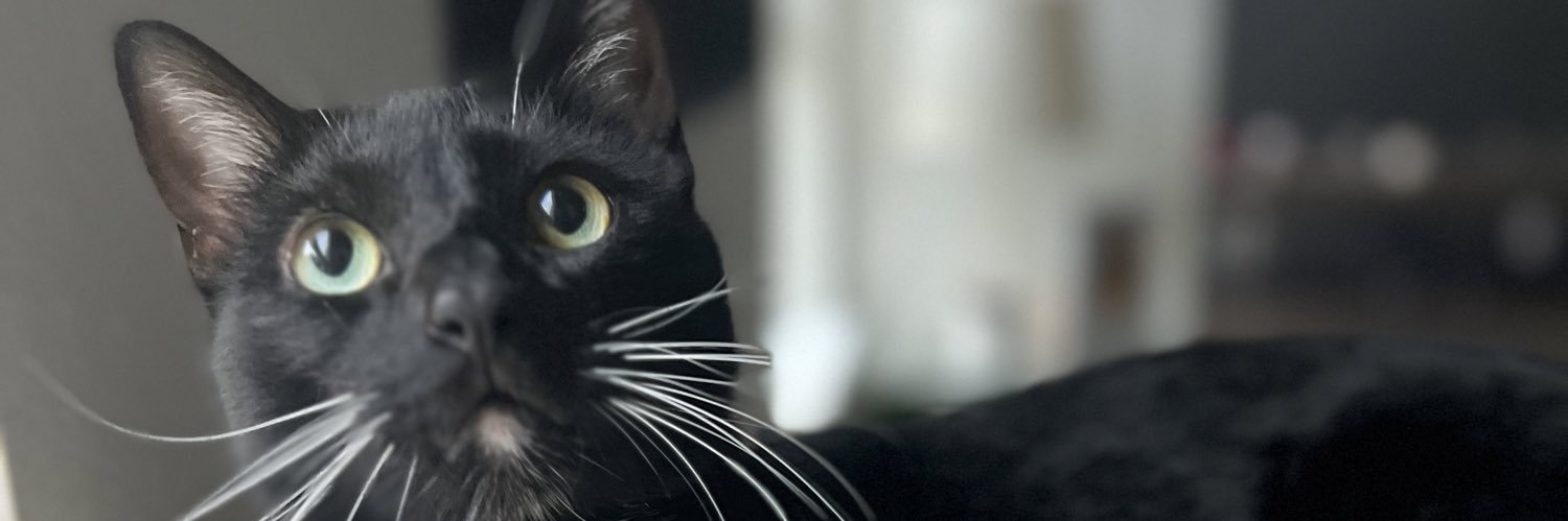 Brenda, NP 👩🏻‍⚕️, PhD 🤓 banner