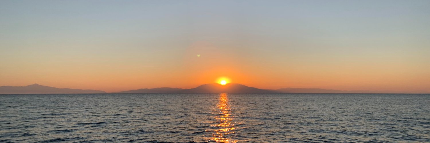 Rachel Tregenza banner