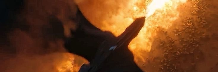 withfirenblood's profile banner image