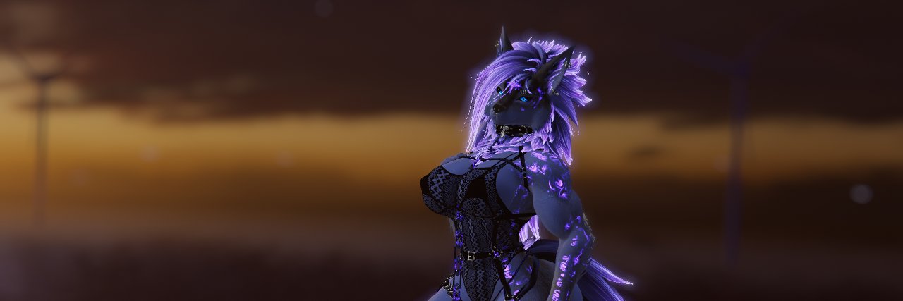 Novaw0lf's profile banner image