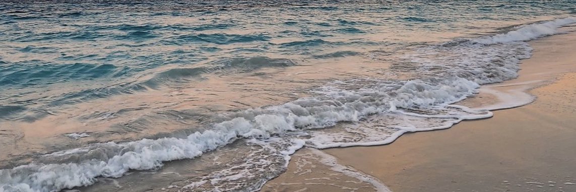 TaraonXx's profile banner image