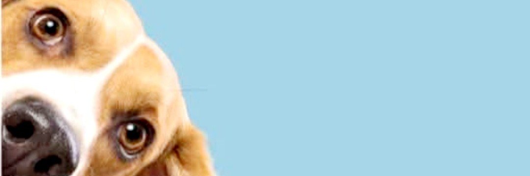makdanza's profile banner image