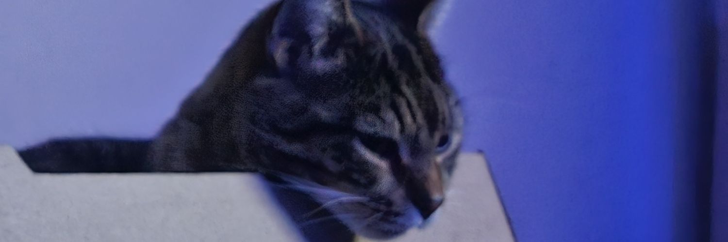 houseofsick's profile banner image
