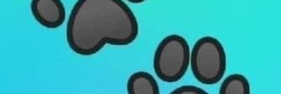knottykim18's profile banner image