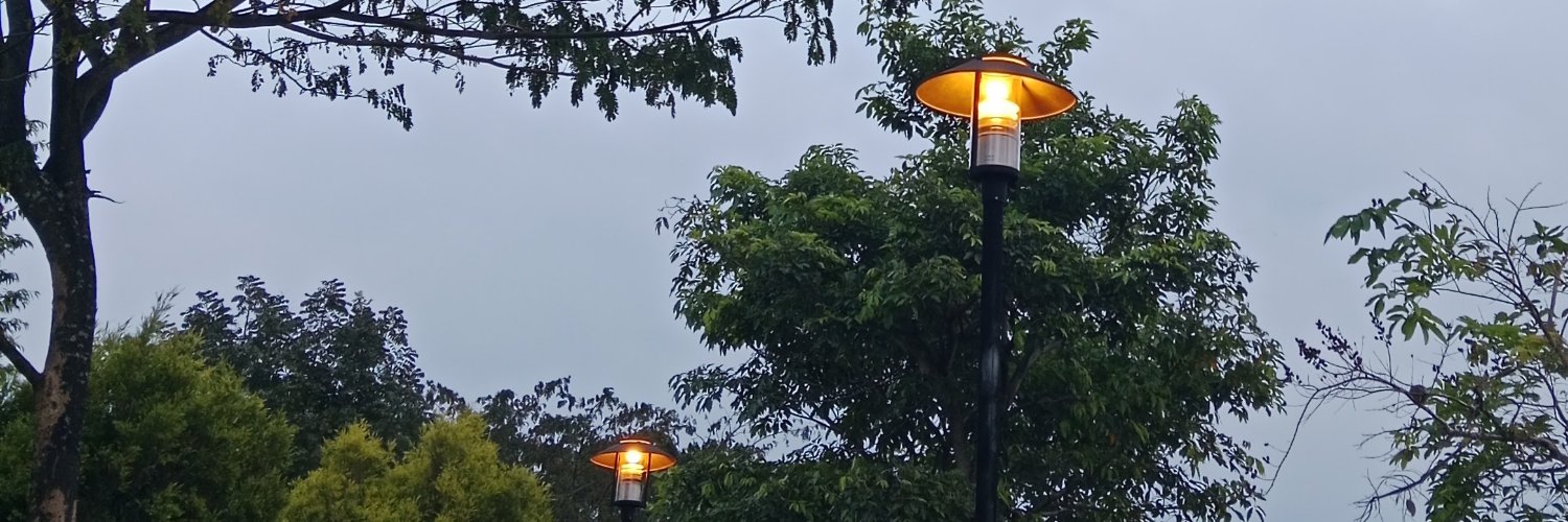 zains___'s profile banner image