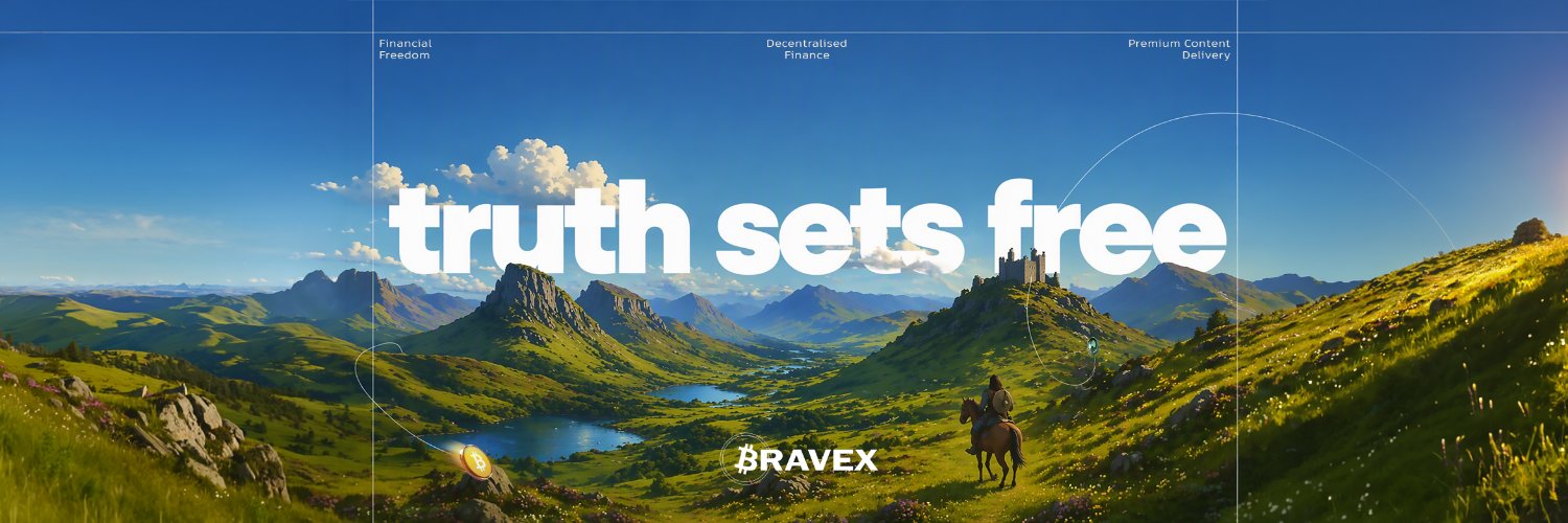 BraveX_DeFi's profile banner image