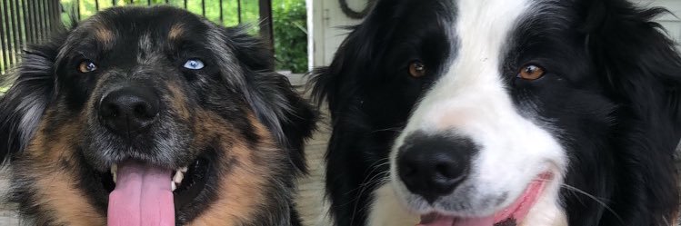 ellayyye's profile banner image