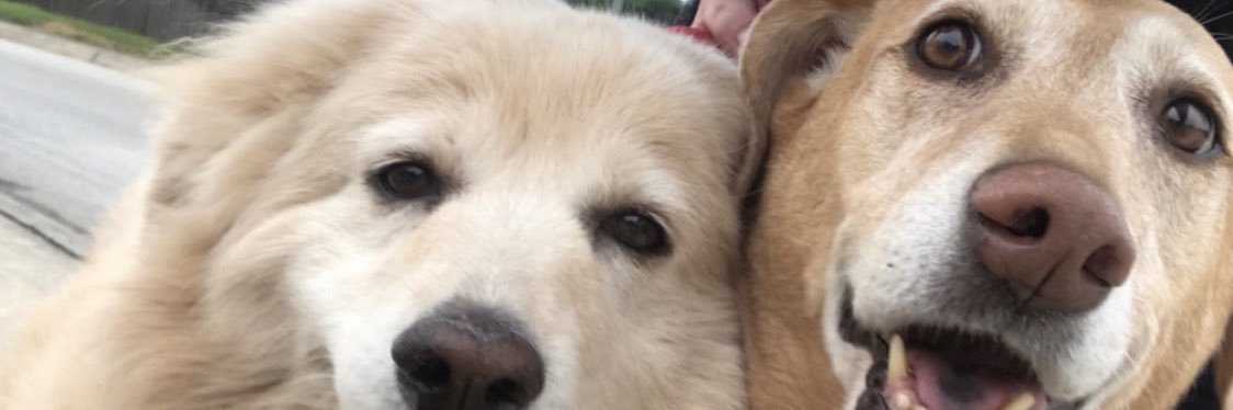 patrickanthony1's profile banner image