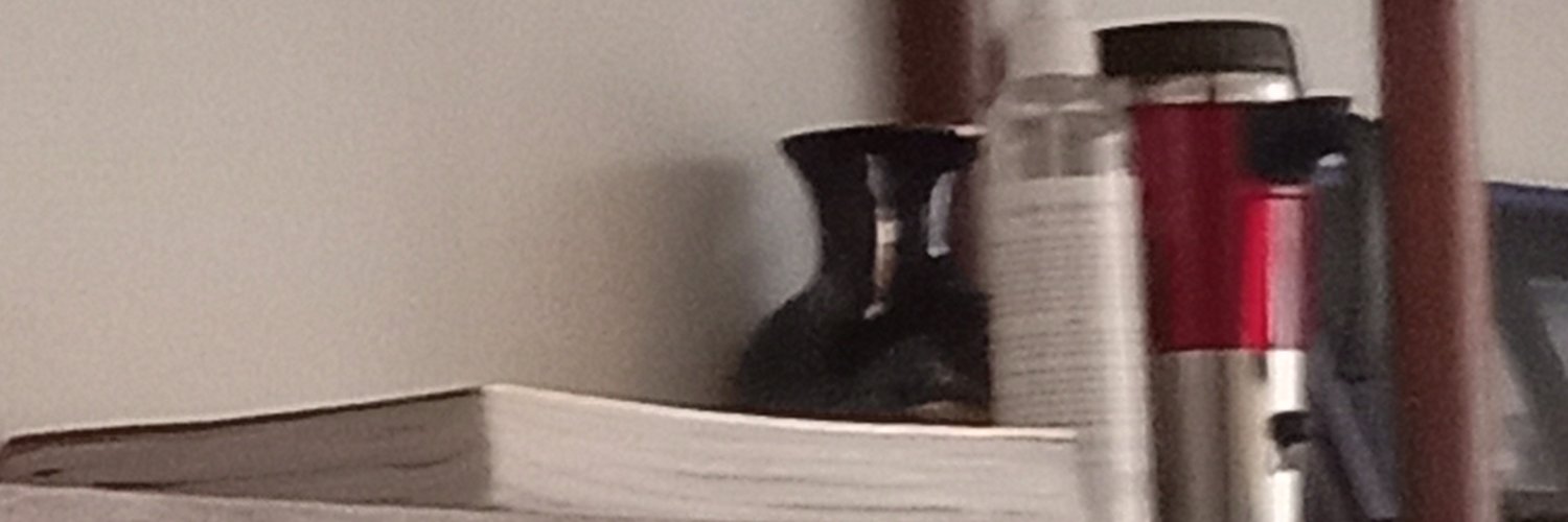 teguhdiono's profile banner image