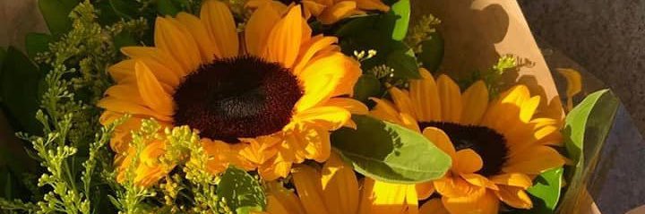 ClintonIzu05's profile banner image