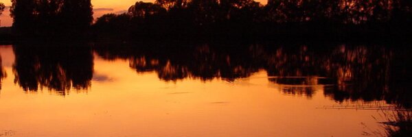 CarpForum Profile Banner