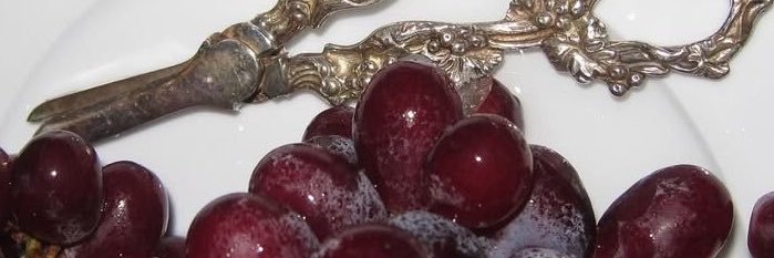 bloodcholic's profile banner image