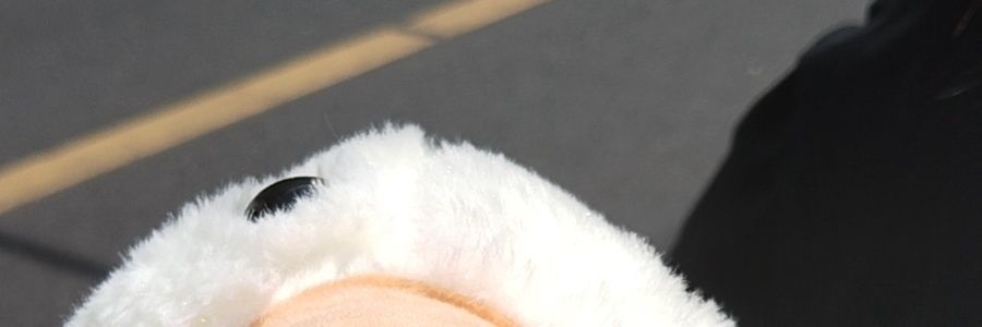 Tenovil's profile banner image