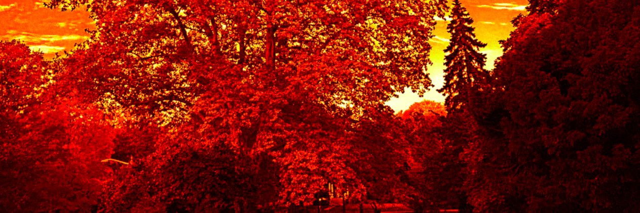 HScobie's profile banner image