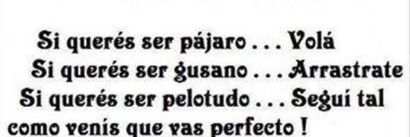 Lore Escudero banner