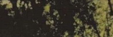 shandrylla's profile banner image