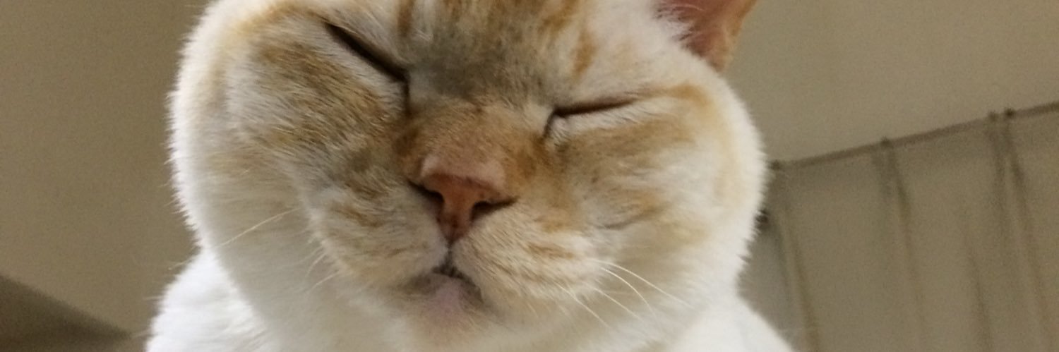 jindamPro's profile banner image