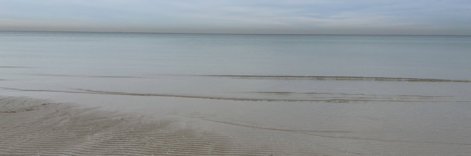 🅲🅷🅸🅻🅻🅸 🅽🅴🅻🆂🅾🅽 ☮️🏳️‍🌈🏳️‍⚧️🏴‍☠️ banner