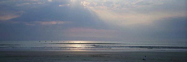 drchrisbaker Profile Banner